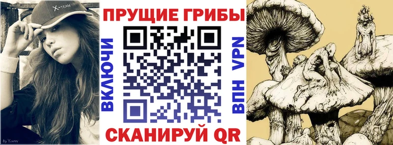 Купить  Циолковский  Псилоцибиновые грибы мухоморы 